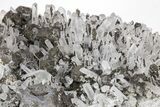 Galena and Pyrite Crystals on Quartz - Peru #213589-2